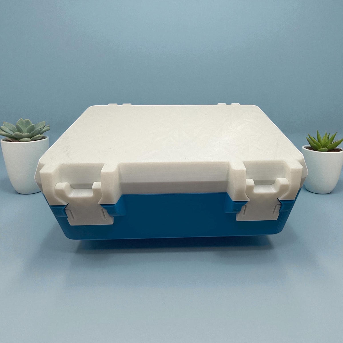 Peptide case storage,  syringes & alcohol pads organizer case for peptides, insulin, trt, botox lipoc, lemon bottle or injectables